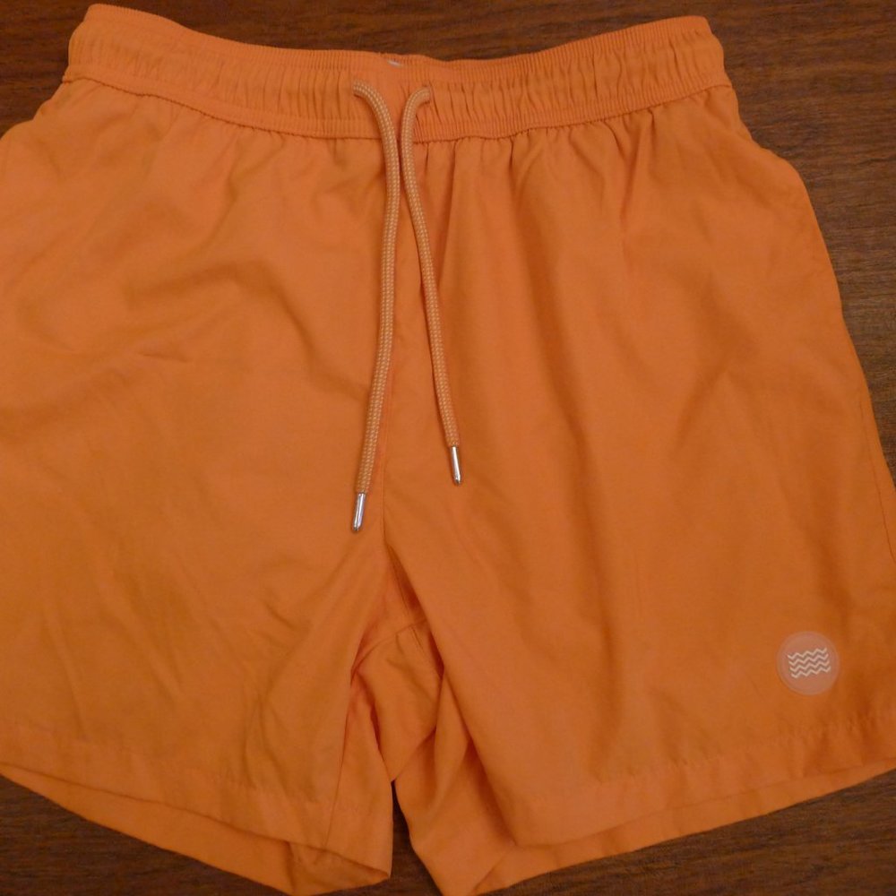 Men's Topman Bathing suit